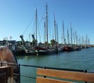 Hafen von Terschelling