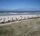 Strand von Spiekeroog